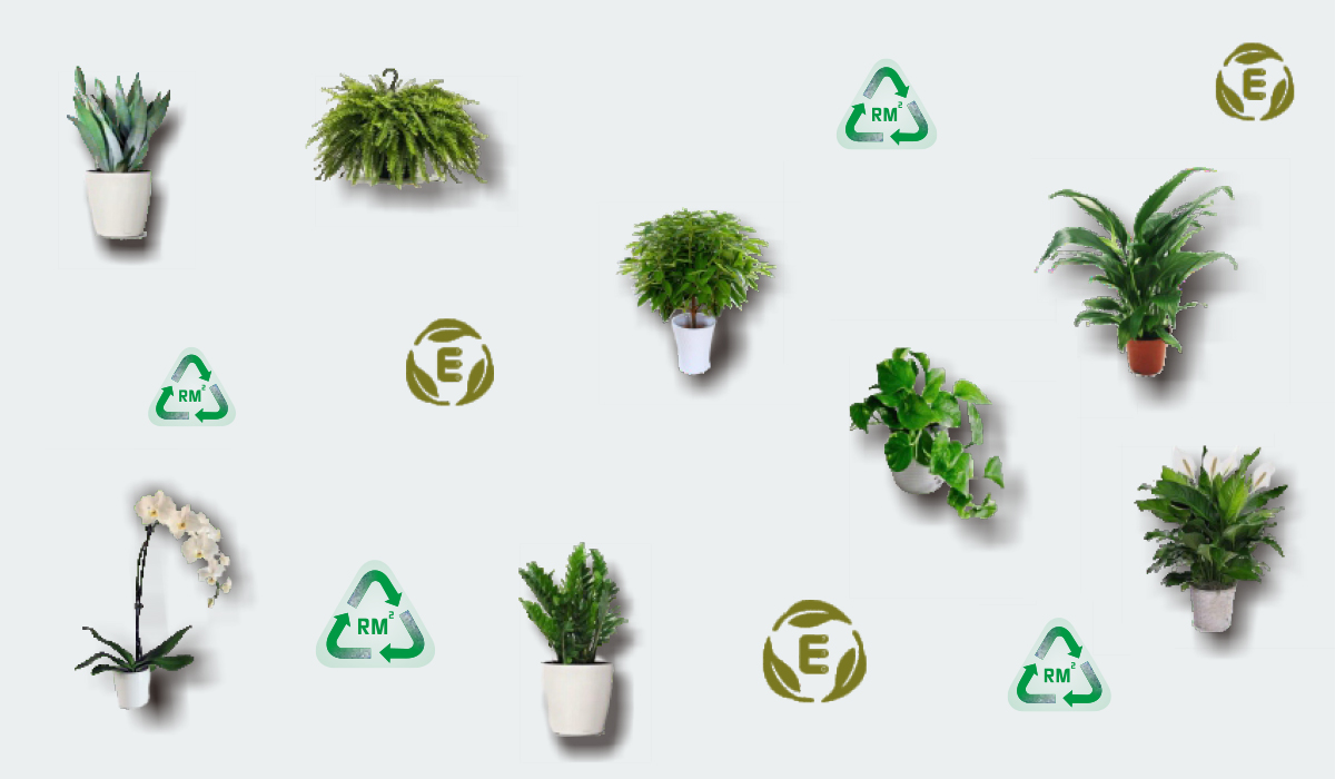 ECO-Products (Green Action)